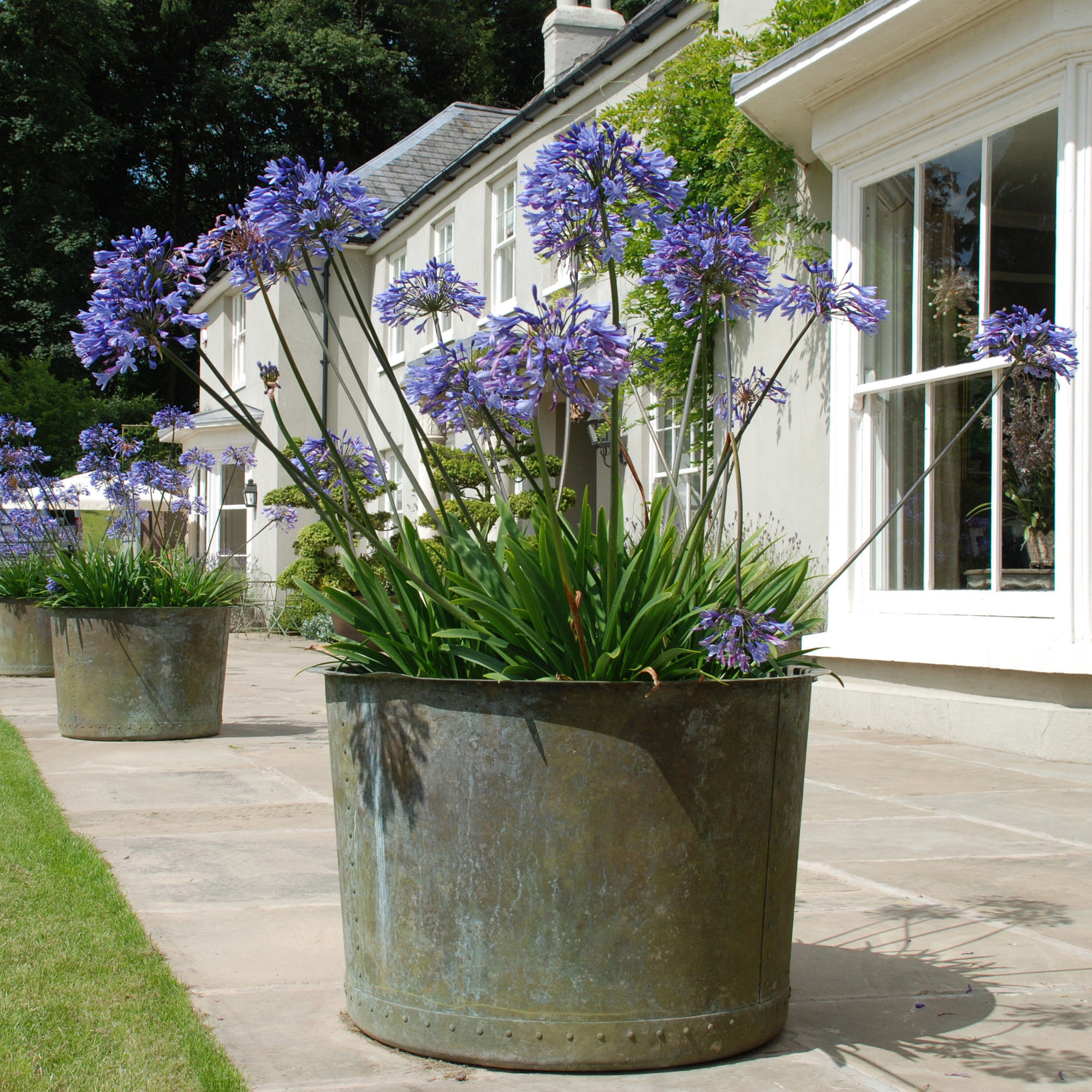 Best ideas about Large Outdoor Planters
. Save or Pin The Circular Copper Garden Planter Architectural Now.