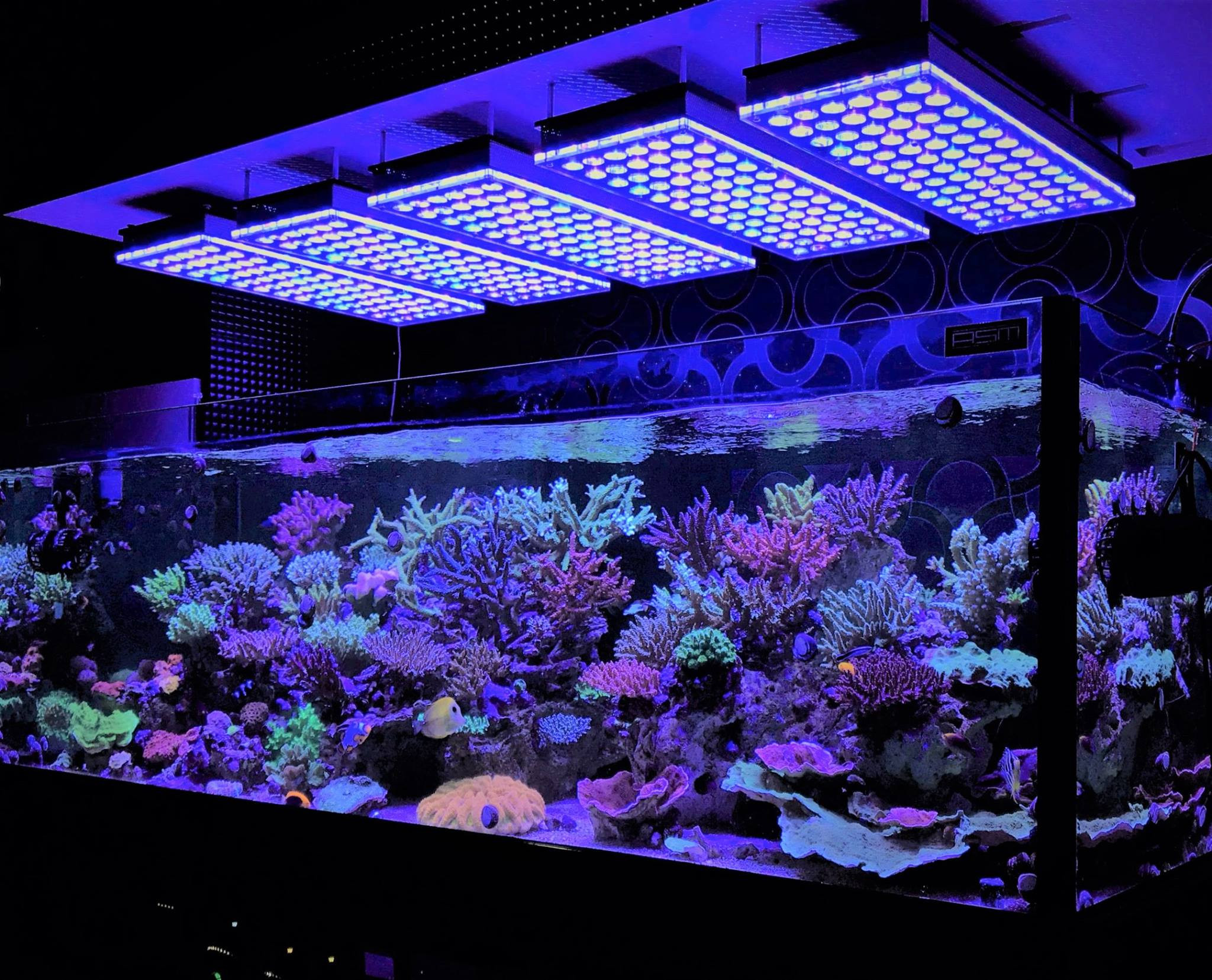 Best ideas about Led Aquarium Lights
. Save or Pin Aquarium LED Lighting s best Reef Aquarium LED Now.