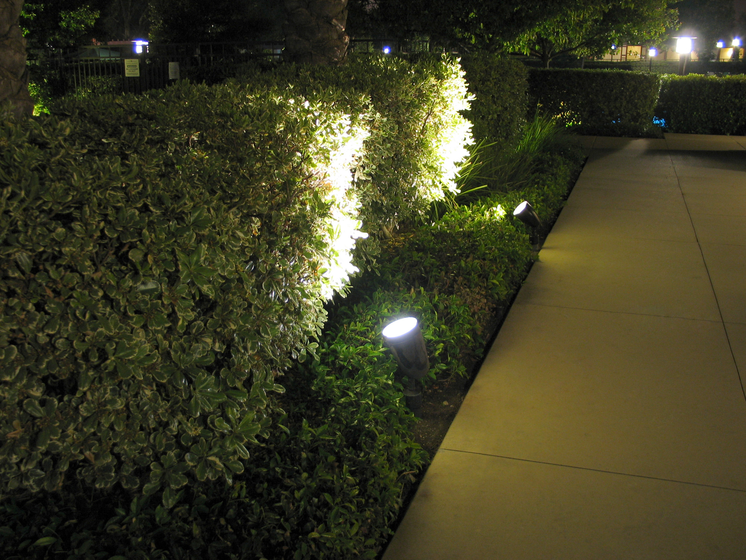 Best ideas about Led Landscape Lights
. Save or Pin LEDtronics LED Spotlights Improve Landscape Lighting Now.