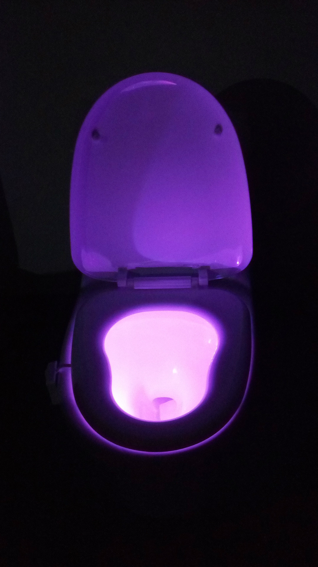 Best ideas about Led Toilet Light
. Save or Pin Night LED Light 8Color Body Motion Sensor Automatic Toilet Now.