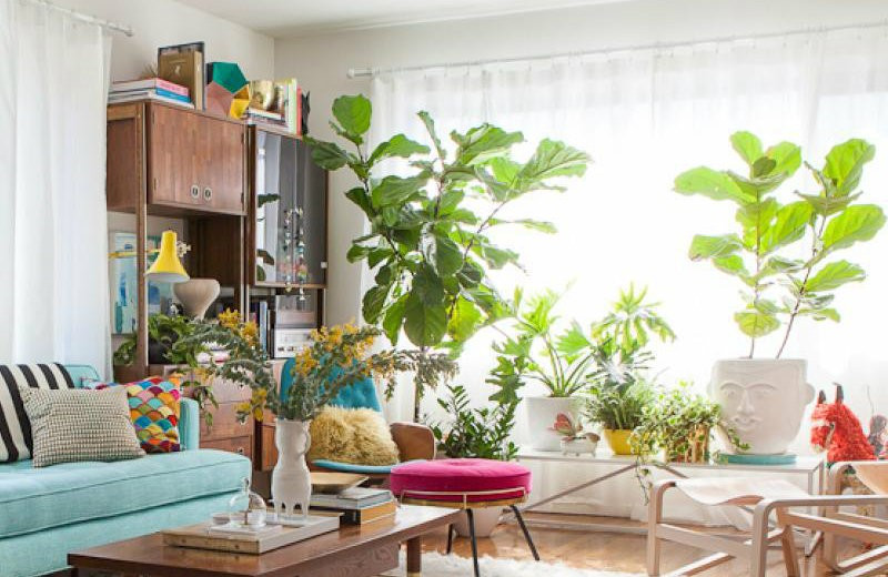 Best ideas about Living Room Plants
. Save or Pin 10 Cheerful living room ideas with plants – Covet Edition Now.