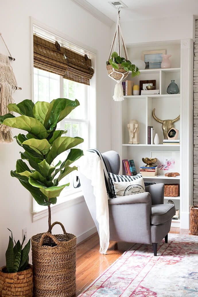 Best ideas about Living Room Plants
. Save or Pin 25 best ideas about Living room plants on Pinterest Now.