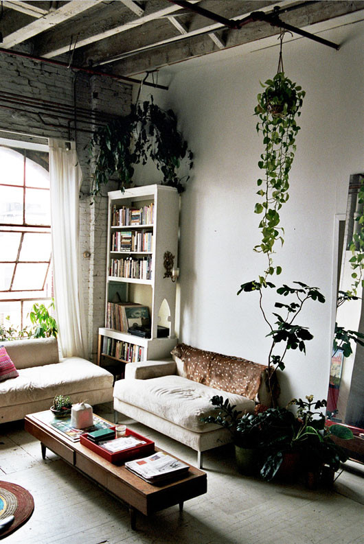 Best ideas about Living Room Plants
. Save or Pin isabel wilson’s loft life sfgirlbybay Now.