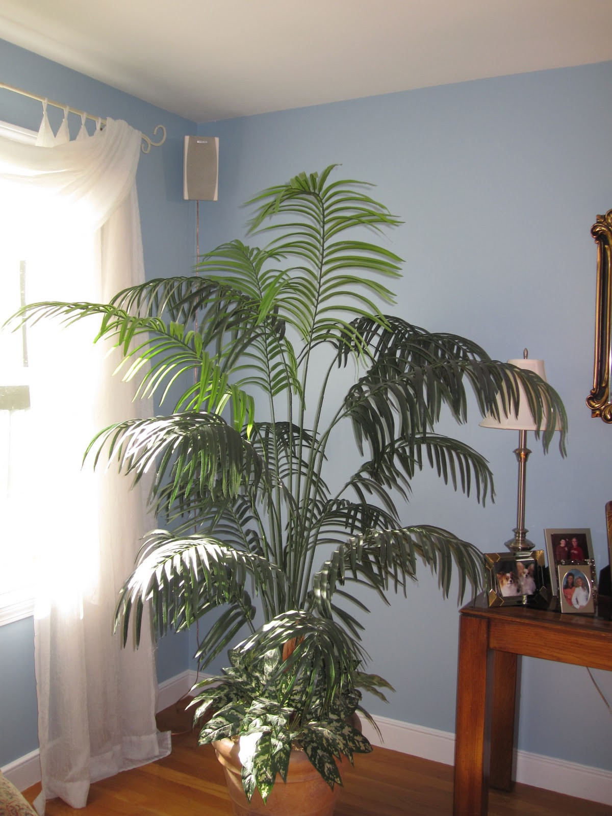 Best ideas about Living Room Plants
. Save or Pin Barb s Decorating Tips Awkward Corners Now.