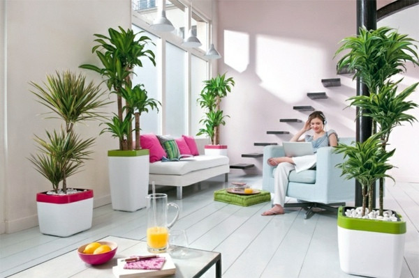 Best ideas about Living Room Plants
. Save or Pin Feng Shui plants for harmony and positive energy in the Now.