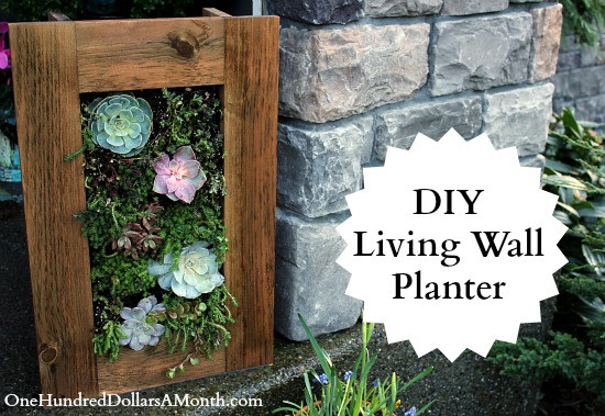 Best ideas about Living Wall Planter DIY
. Save or Pin DIY Sedum and Succulent Living Wall Planter e Hundred Now.