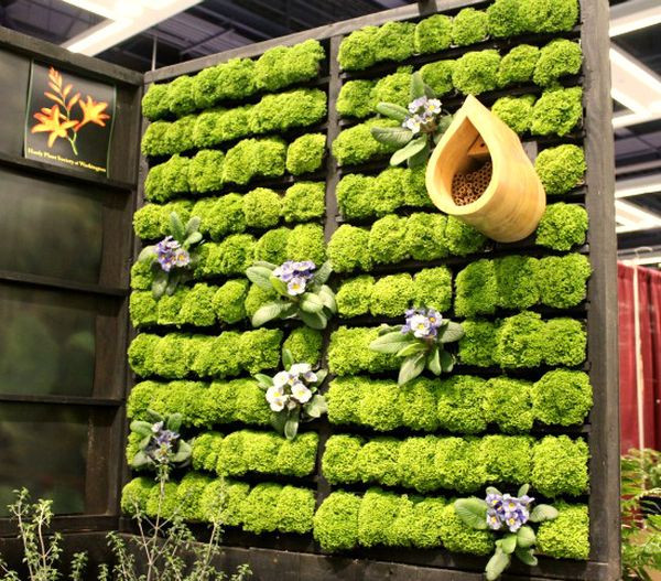 Best ideas about Living Wall Planter DIY
. Save or Pin Cool DIY Green Living Wall Projects For Your Home Now.