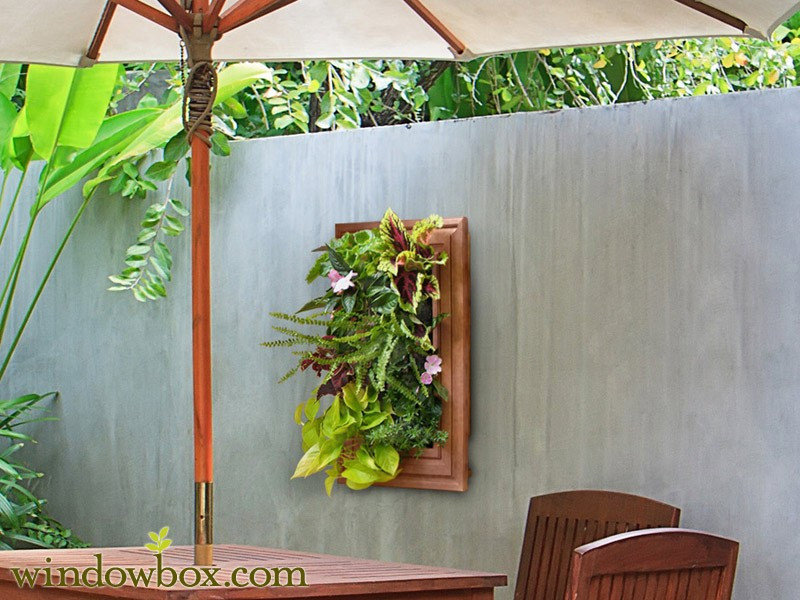 Best ideas about Living Wall Planter DIY
. Save or Pin Indoor Living Wall Kit With Traditional Frame Now.