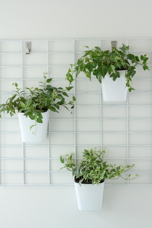 Best ideas about Living Wall Planter DIY
. Save or Pin DIY Living Wall Planter Tutorial Pretty Handy Girl Now.