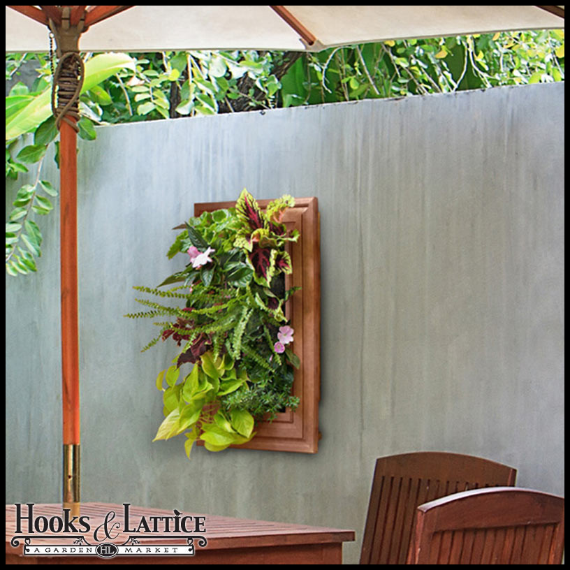 Best ideas about Living Wall Planter DIY
. Save or Pin DIY Living Wall Vertical Gardening Now.
