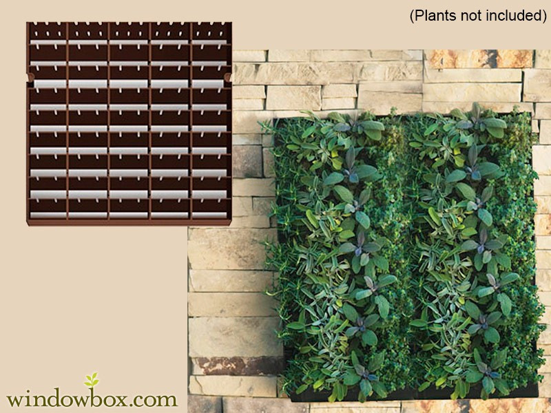 Best ideas about Living Wall Planter DIY
. Save or Pin Living Wall Planter 20"W x 20"H DIY Projects Now.