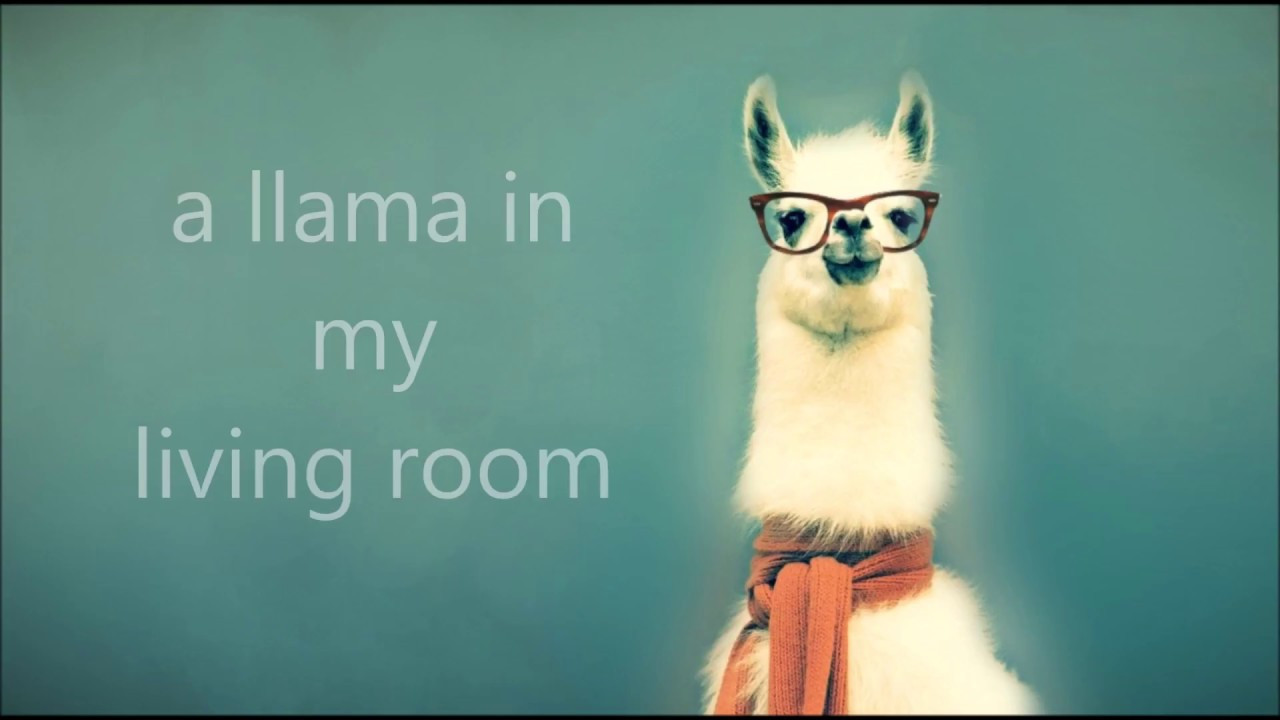 Llama In My Living Room Urban Dictionary