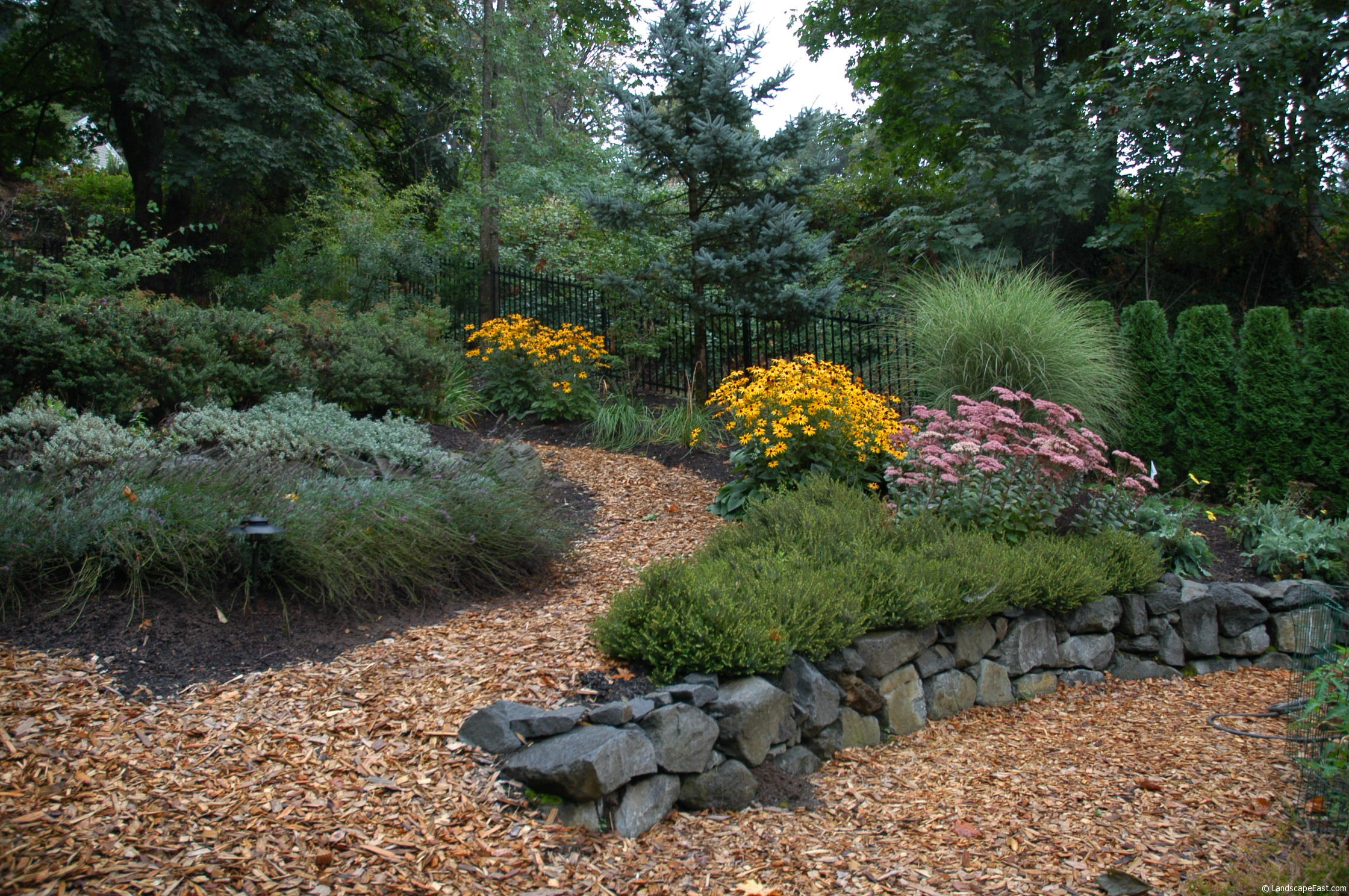 Best ideas about Low Maintenance Landscape
. Save or Pin Portland Landscapers fer Tips About Thriving Plants Now.