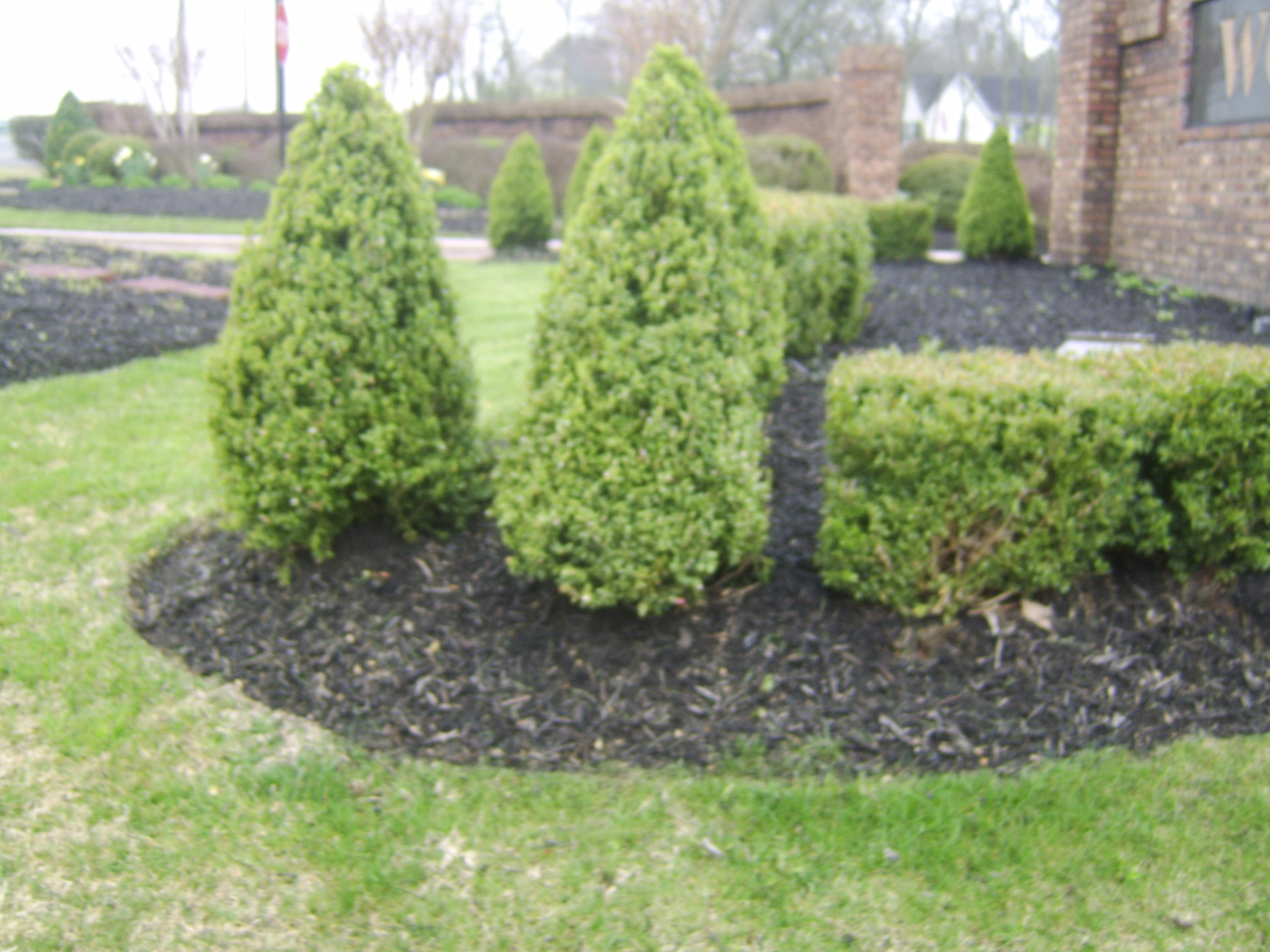 Best ideas about Low Maintenance Landscape
. Save or Pin Low Maintenance Landscaping Professional Middle Tn Nashville Now.