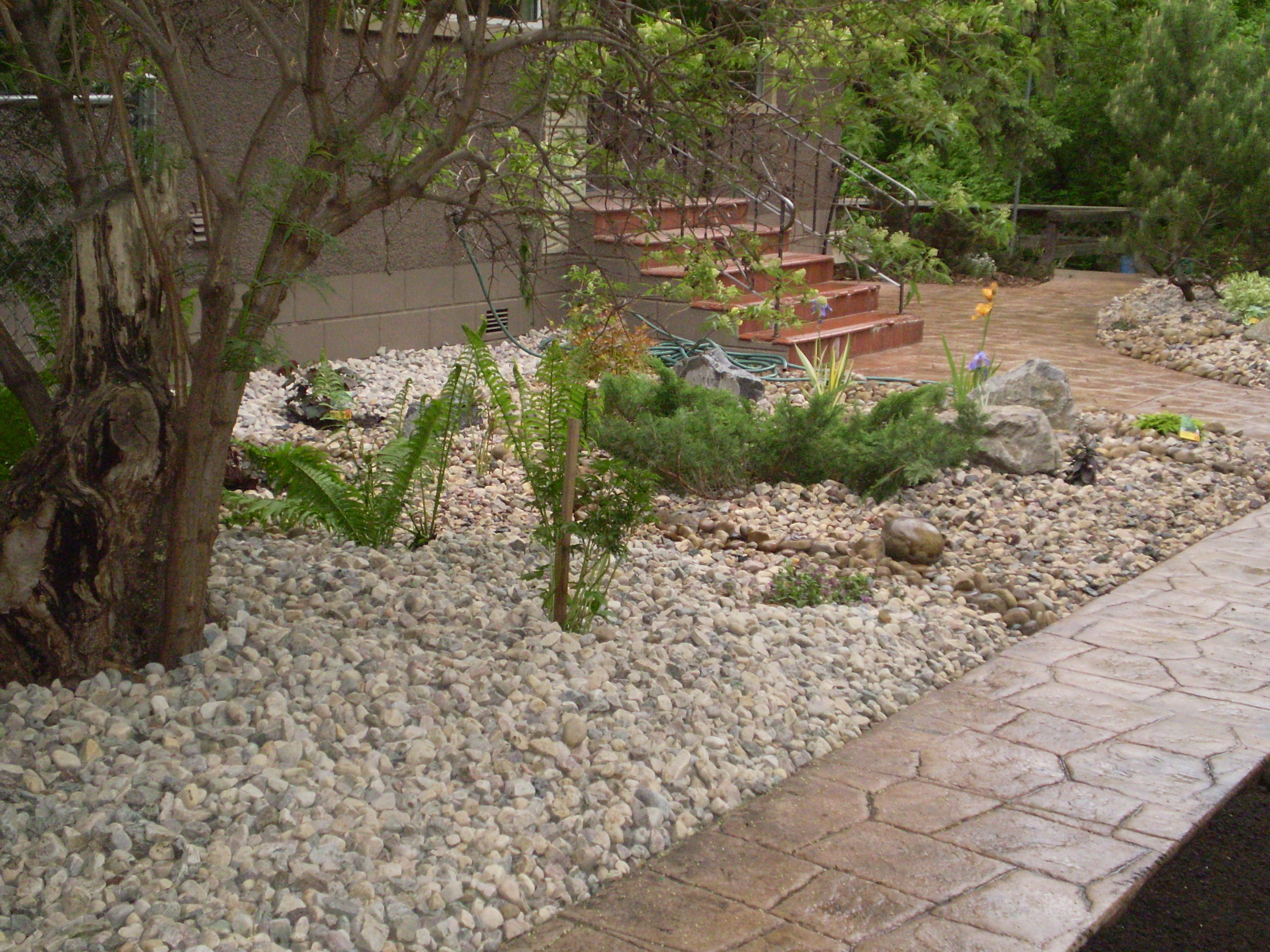 Best ideas about Low Maintenance Landscape
. Save or Pin Low Maintenance Landscaping Now.