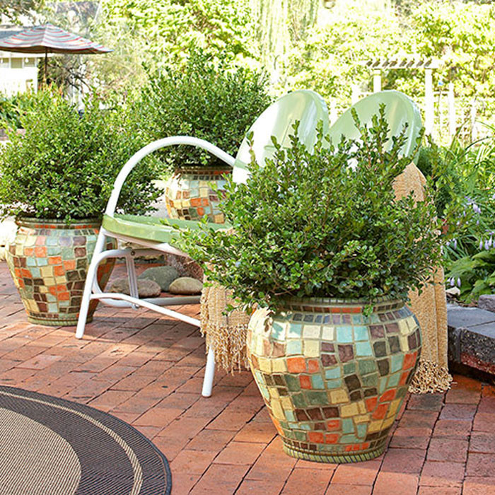 Best ideas about Lowes Outdoor Planters
. Save or Pin Potted Trees for a Beautiful Porch Now.