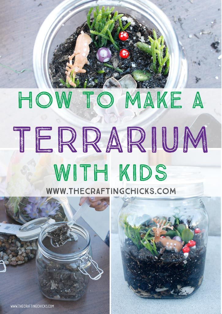 Best ideas about Making For Kids
. Save or Pin How To Make A Terrarium With Kids Now.