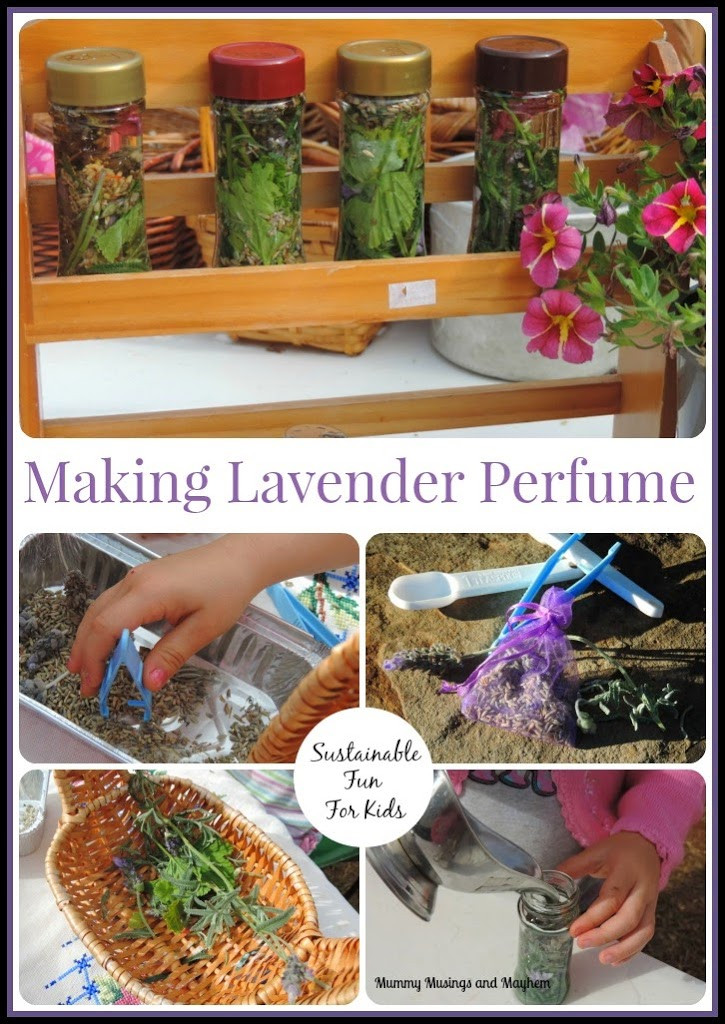 Best ideas about Making For Kids
. Save or Pin Sustainable Fun with Kids Making Lavender Perfume The Now.