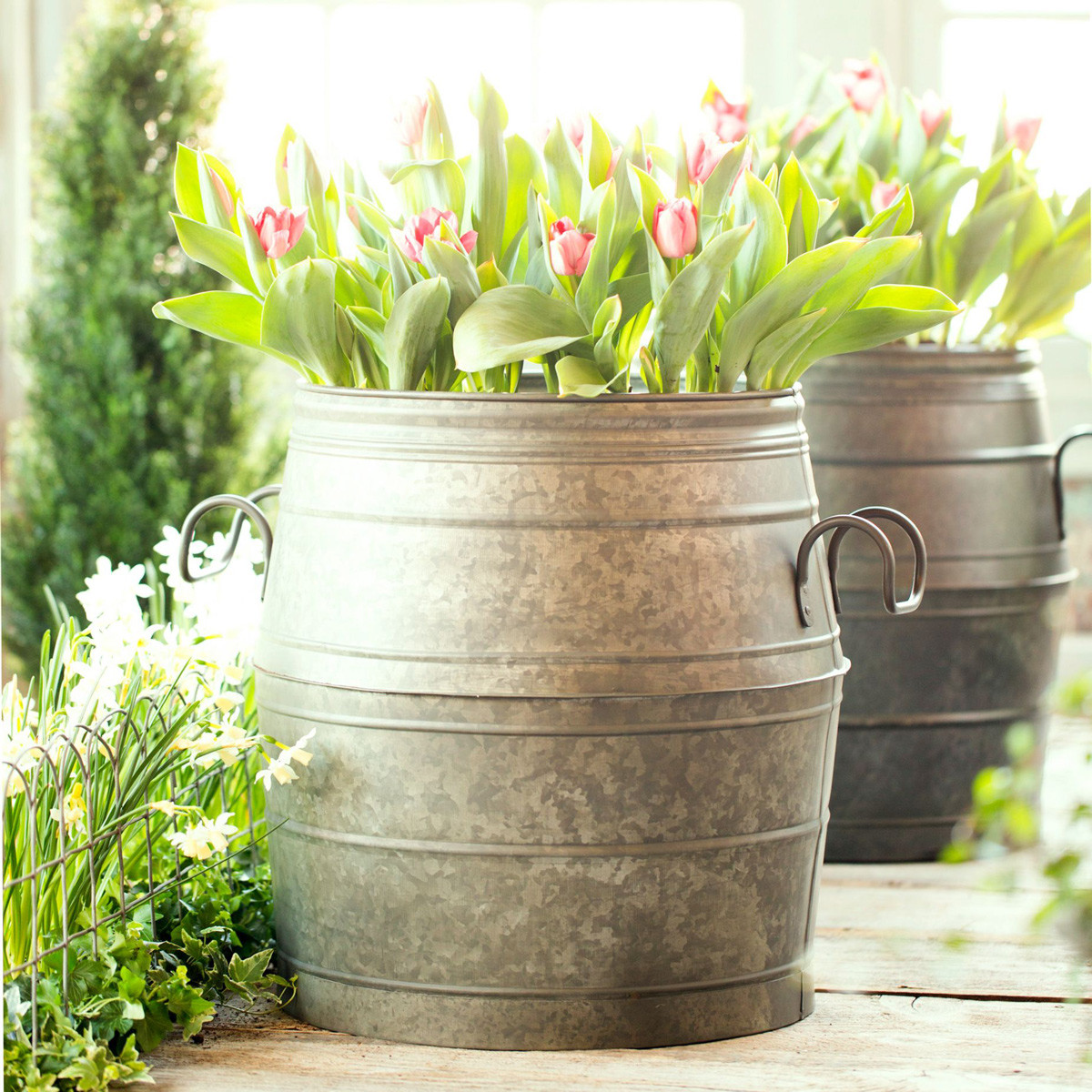 Best ideas about Metal Planters Outdoor
. Save or Pin Galvanized Metal Barrel Planter The Green Head Now.