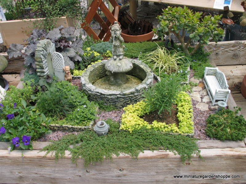 Best ideas about Miniature Garden Ideas
. Save or Pin Miniature Garden Inspiration Gallery Now.