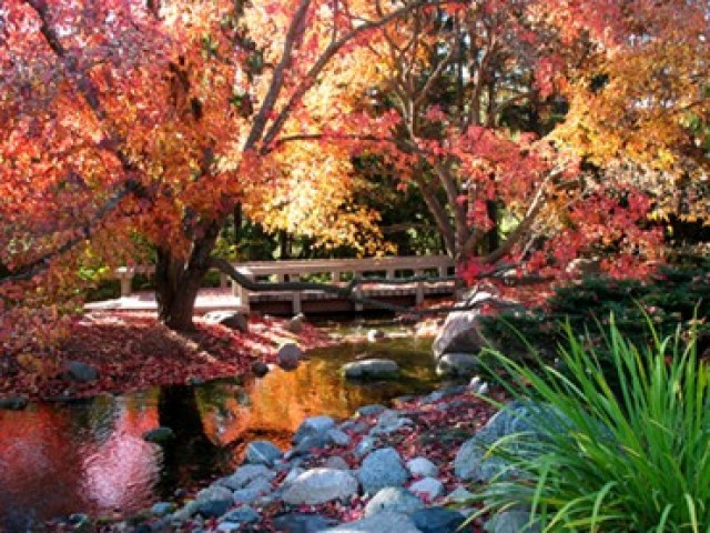 Best ideas about Mn Landscape Arboretum
. Save or Pin Arboretum To Host Art crawl Open Sculpture Garden WCCO Now.