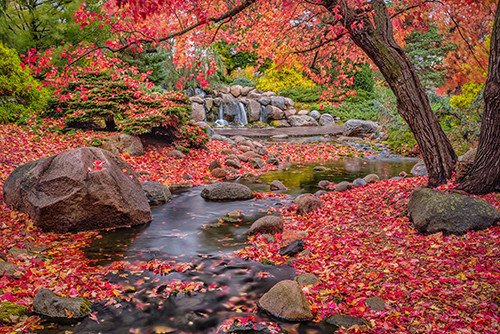 Best ideas about Mn Landscape Arboretum
. Save or Pin Minnesota Landscape Arboretum named best botanical garden Now.