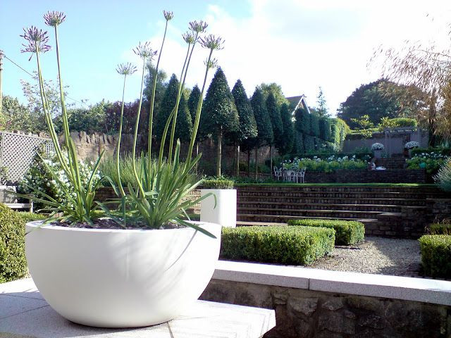 Best ideas about Modern Outdoor Planters
. Save or Pin Contemporary planter with Agapanthus Now.