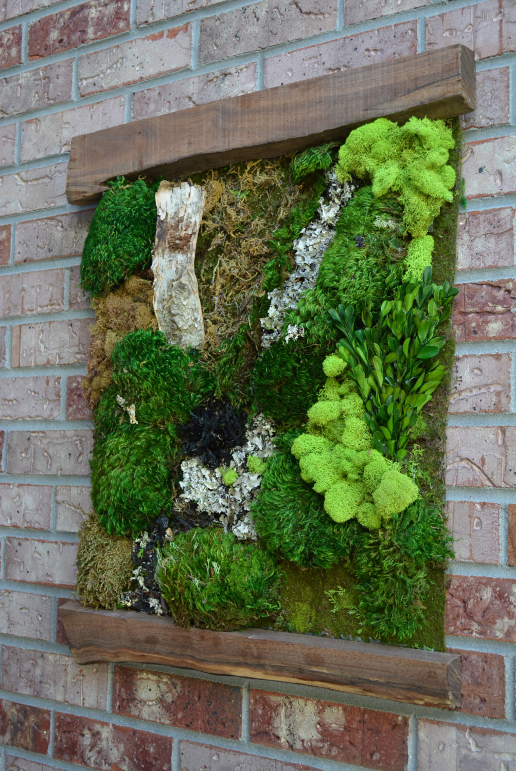 Best ideas about Moss Wall Art
. Save or Pin Living Moss Wall Art Now.