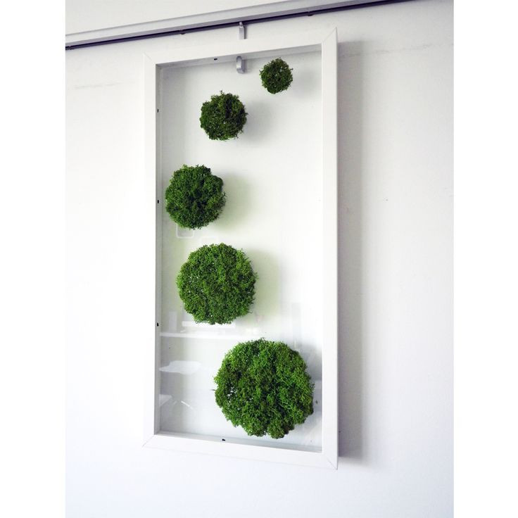 Best ideas about Moss Wall Art
. Save or Pin 1000 ideas about Moss Wall Art on Pinterest Now.