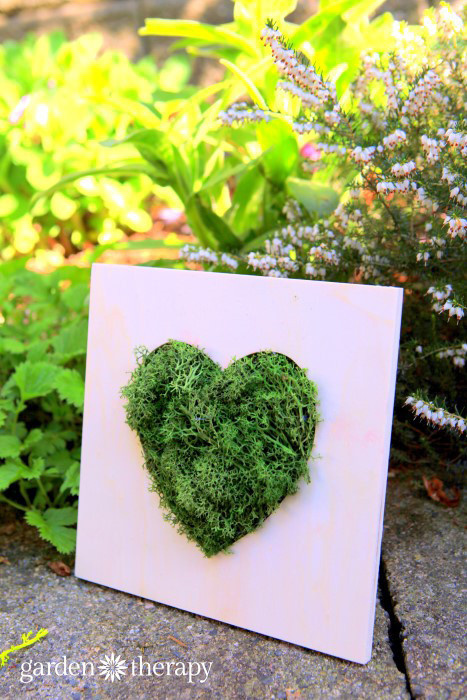 Best ideas about Moss Wall Art DIY
. Save or Pin Make this Moss Heart Wall Art in 10 Minutes Now.