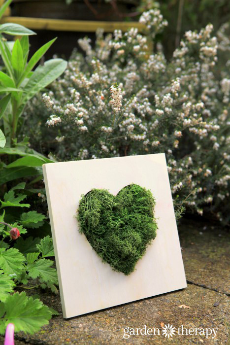 Best ideas about Moss Wall Art DIY
. Save or Pin Make this Moss Heart Wall Art in 10 Minutes Now.