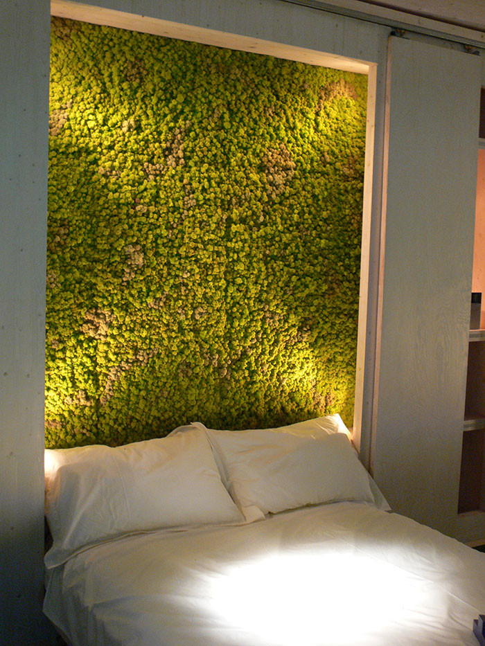Best ideas about Moss Wall Art DIY
. Save or Pin DIY Moss Ideas 12 Moss Wall Art and Inspiration Now.