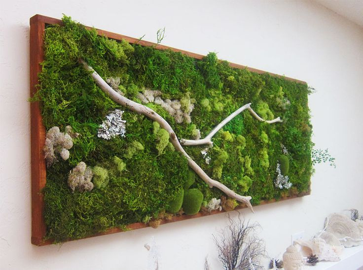 Best ideas about Moss Wall Art DIY
. Save or Pin 25 best ideas about Moss wall art on Pinterest Now.