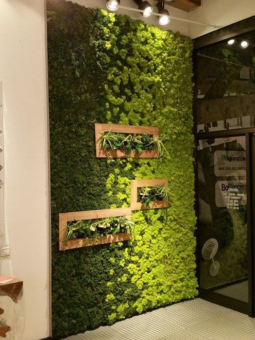 Best ideas about Moss Wall Art DIY
. Save or Pin Best 25 Moss wall ideas on Pinterest Now.