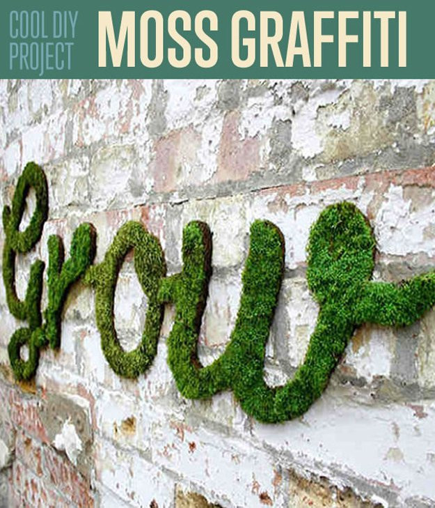 Best ideas about Moss Wall Art DIY
. Save or Pin Outdoor Wall Decor ideas with wood plants and lights Now.