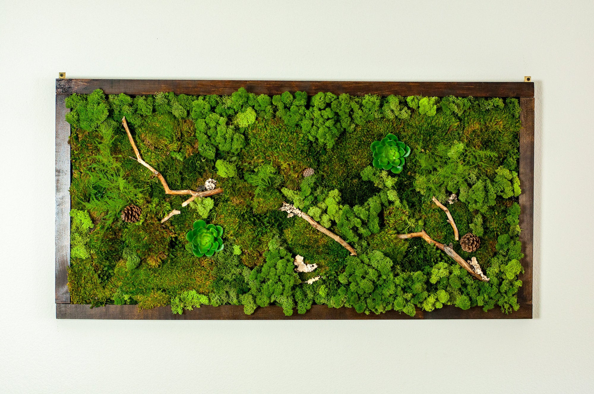 Best ideas about Moss Wall Art
. Save or Pin Preserved Moss Wall Art 48 x 24 Green Wall Art No Care Now.