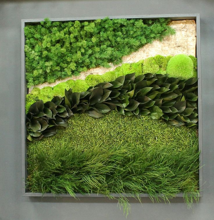 Best ideas about Moss Wall Art
. Save or Pin 25 best ideas about Moss wall art on Pinterest Now.