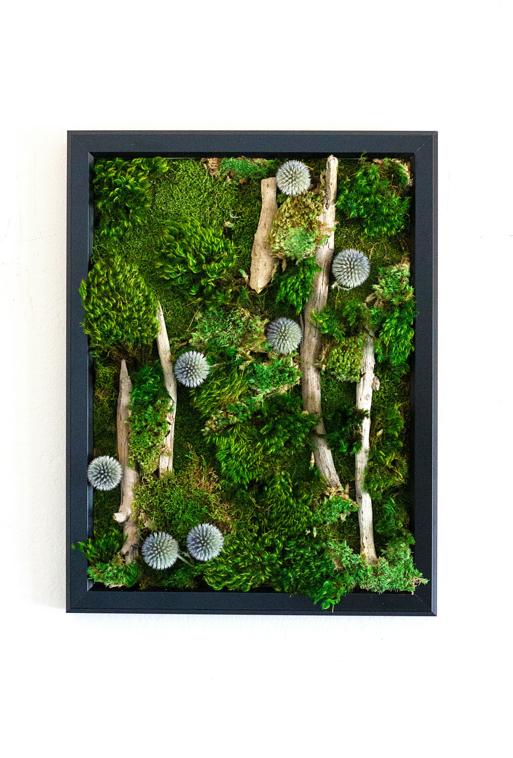 Best ideas about Moss Wall Art
. Save or Pin Moss Wall Art Moss Art Work REAL Preserved Moss No Now.