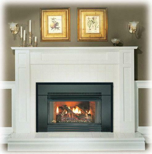 Best ideas about Natural Gas Fireplace
. Save or Pin Natural Gas Fireplace Insert Now.