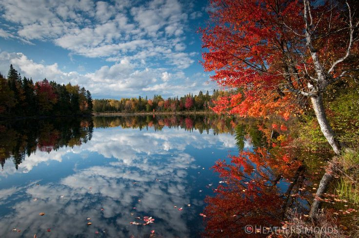 Best ideas about New Hampshire Landscape
. Save or Pin New Hampshire Fall Landscape by Heather Simonds on 500px Now.