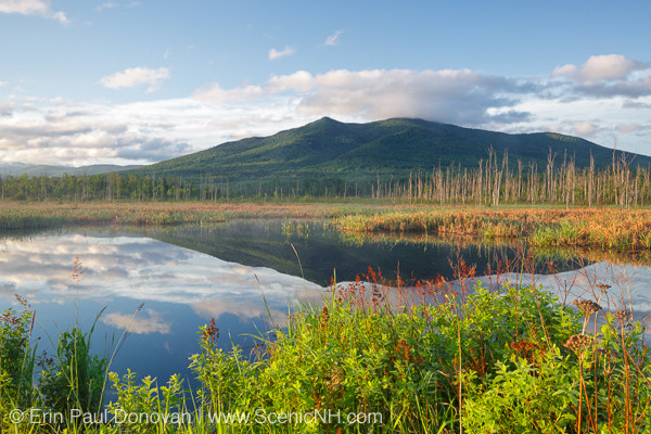 Best ideas about New Hampshire Landscape
. Save or Pin June White Mountains New Hampshire Landscape s Now.