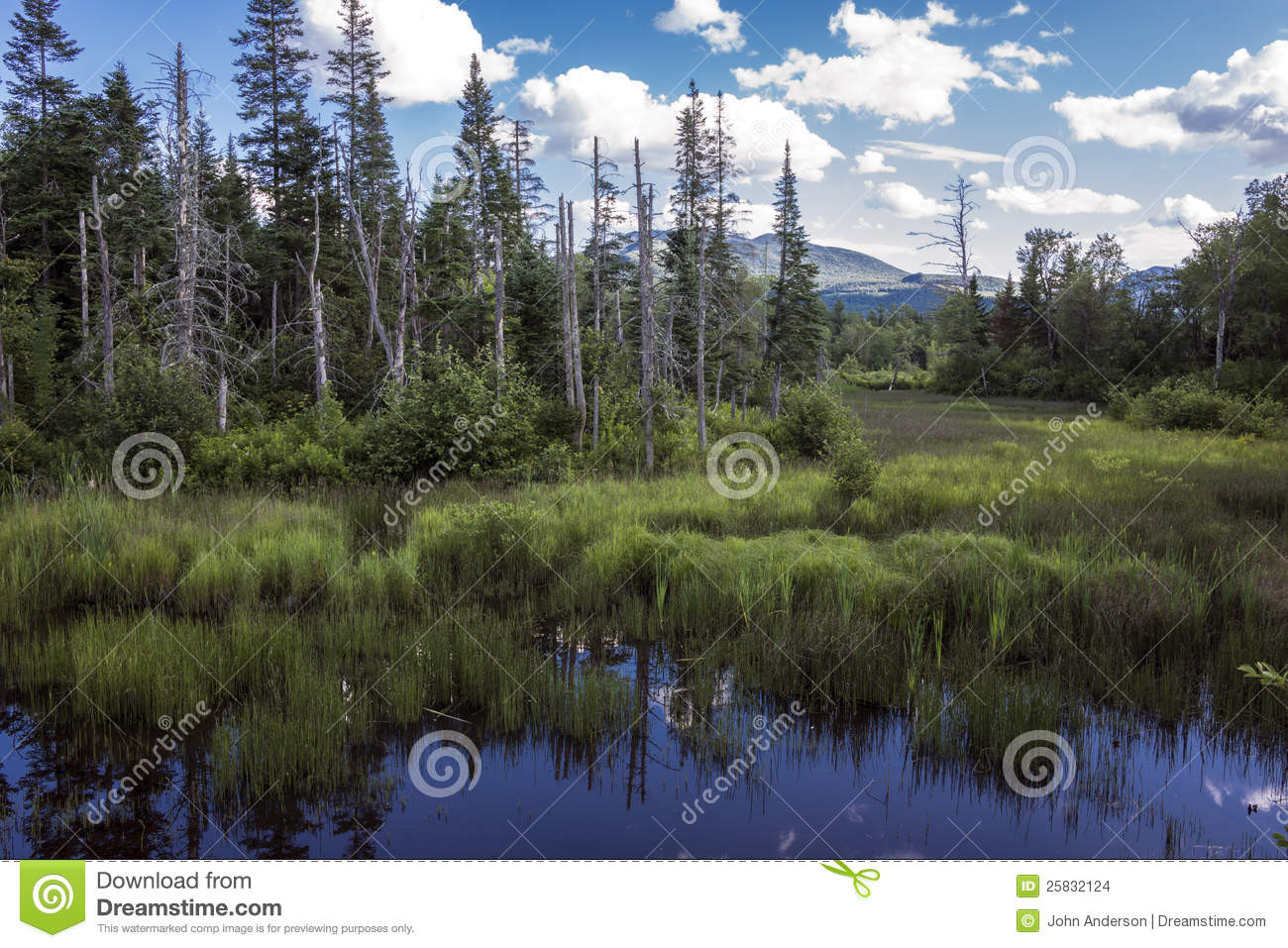 Best ideas about New Hampshire Landscape
. Save or Pin New Hampshire Landscape stock photo Image of plants Now.