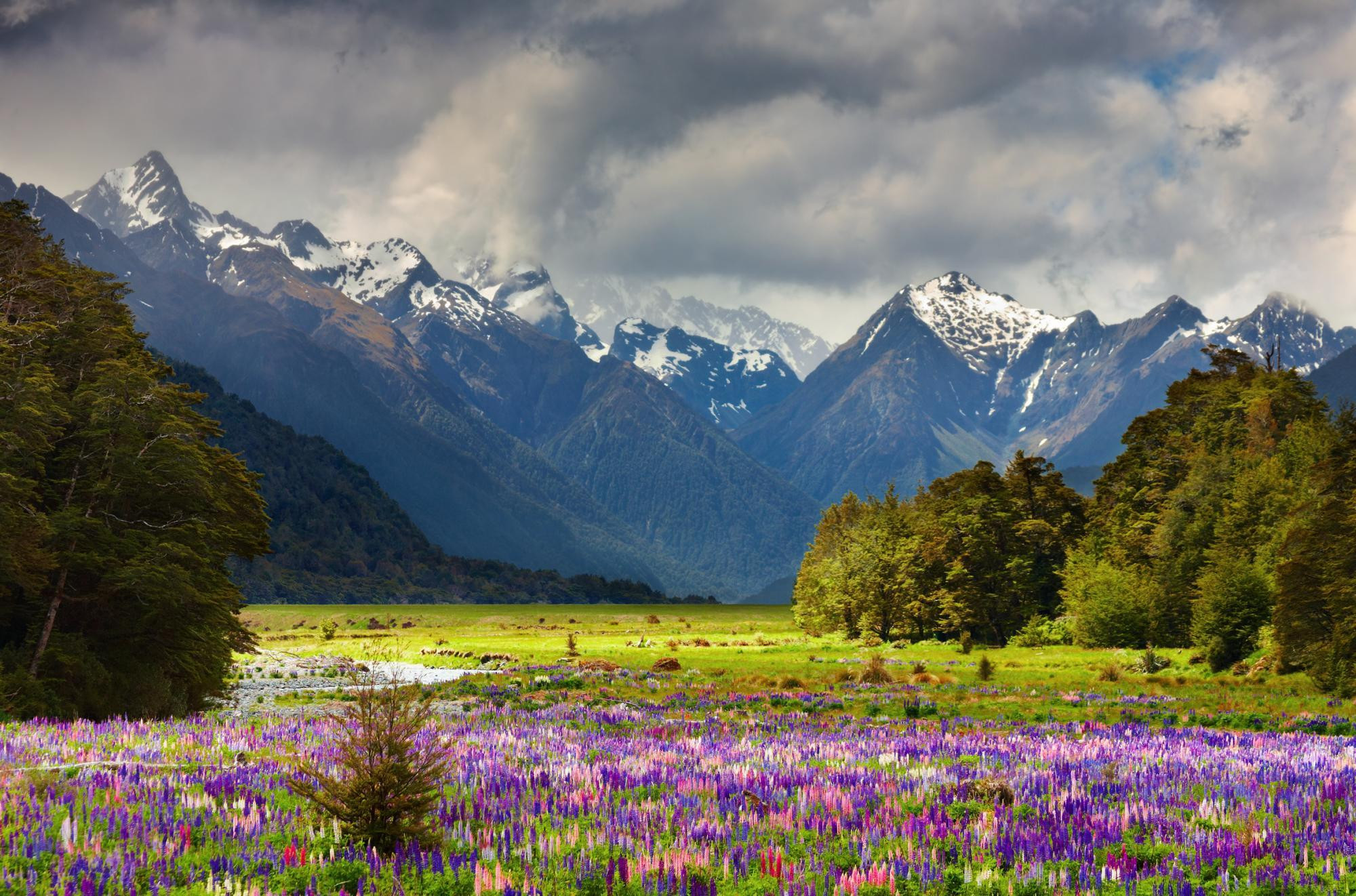 Best ideas about New Zealand Landscape
. Save or Pin An Ultimate Luxury New Zealand Tour Now.