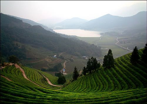 Best ideas about North Korea Landscape
. Save or Pin Landscape of North Korea Total area 47 000 sq mi Now.