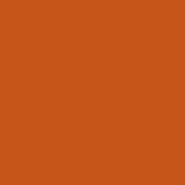 Best ideas about Orange Paint Colors
. Save or Pin Best 25 Orange paint colors ideas on Pinterest Now.