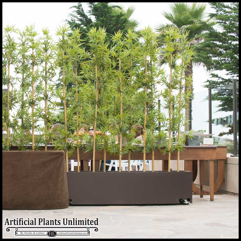 Best ideas about Outdoor Bamboo Plants
. Save or Pin Artificial Bamboo UV Resistant Artificial Outdoor Bamboo Now.