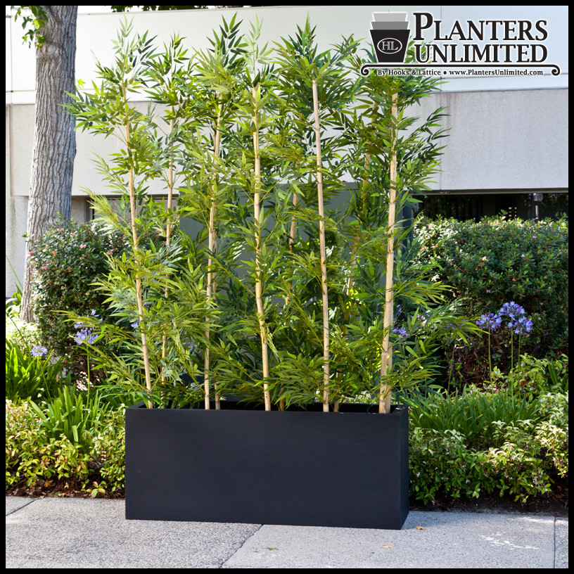 Best ideas about Outdoor Bamboo Plants
. Save or Pin Outdoor Artificial Bamboo in Modern Planters Planters Now.