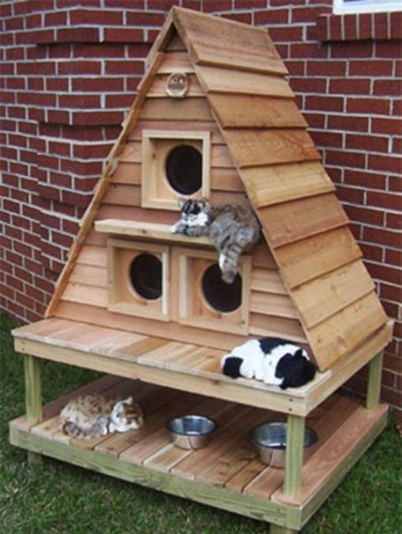 Best ideas about Outdoor Cat House DIY
. Save or Pin Wooden Pallets Idea DIY Craft Idea Find Fun Art Now.