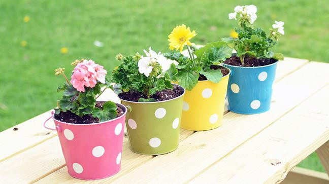 Best ideas about Outdoor Crafts For Adults
. Save or Pin Polka Dot DIY Planters Now.