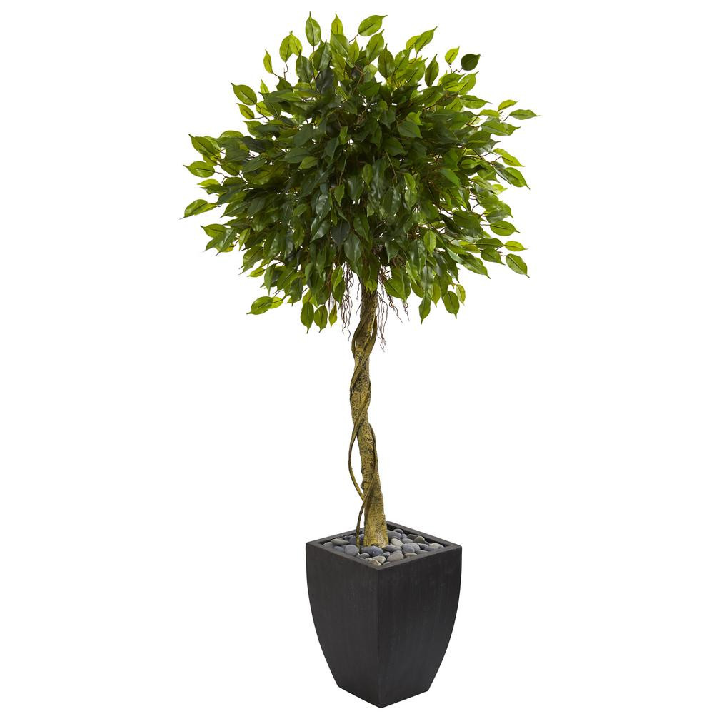 Best ideas about Outdoor Ficus Tree
. Save or Pin Nearly Natural 5 5 ft UV Resistant Indoor Outdoor Ficus Now.